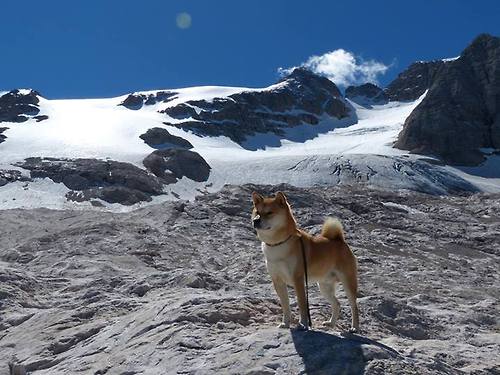 Kaiyun官方登录入口-伊加·斯维亚泰克夺得2024年法网女单冠军，2021法网女单冠军