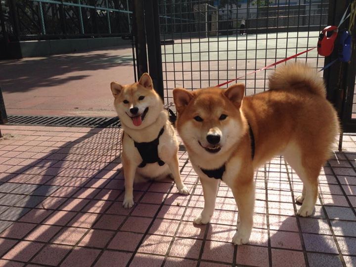 kaiyun官方网站-代表作：职业生涯中最难忘的比赛瞬间，最难忘的比赛300字