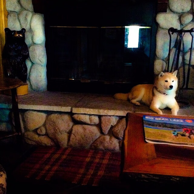 开云·体育官网-德甲精彩，球迷期待未来比赛，德甲参赛球队