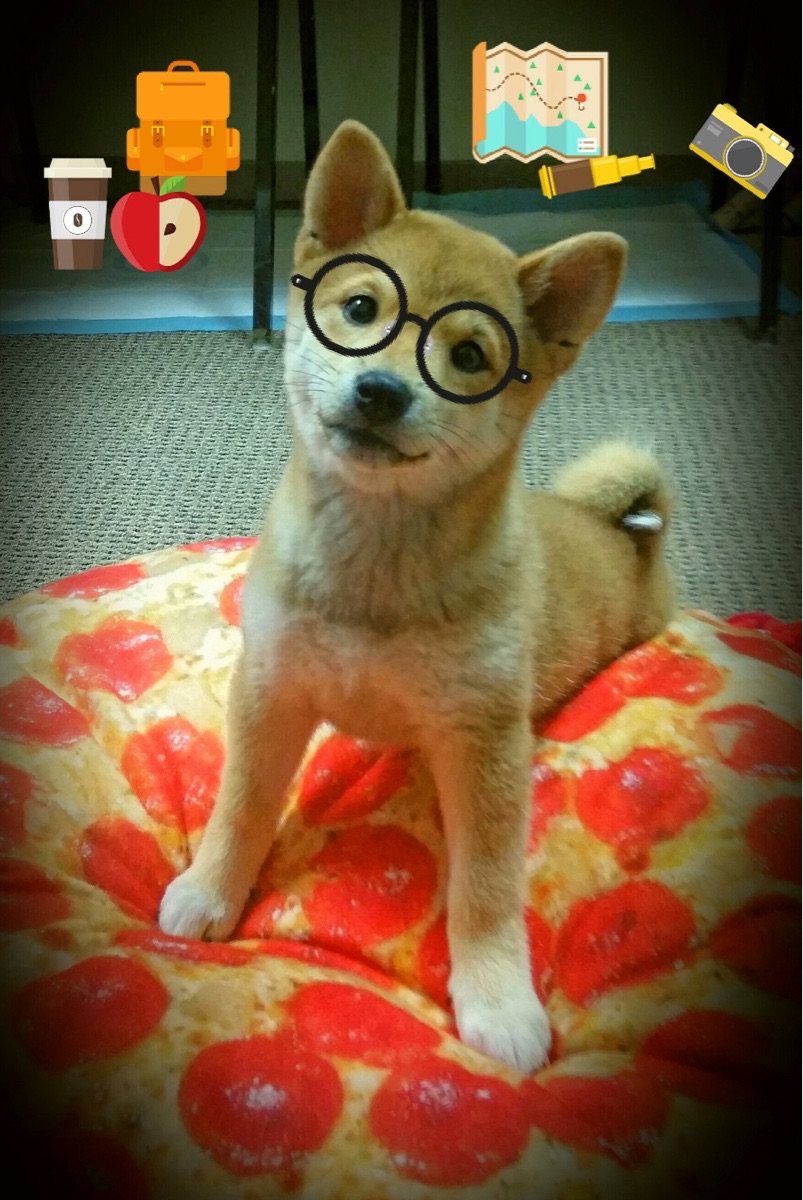 开云网页版登录入口-英超激战再临，精彩逆转和神级扑救成为焦点，英超 prizm