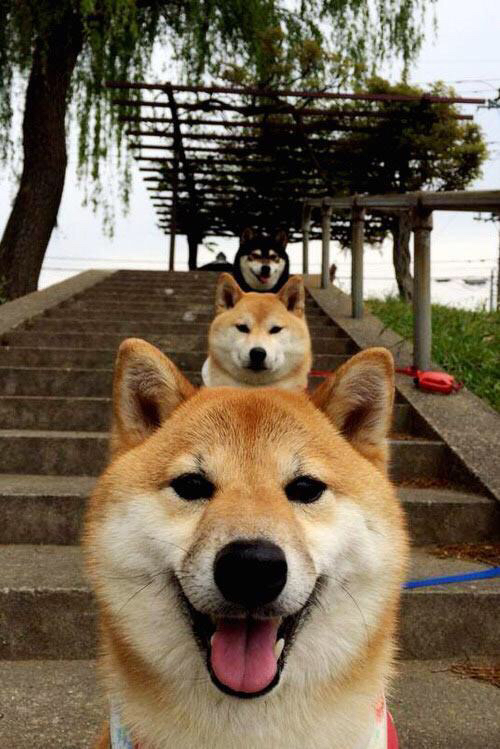 开云网页版-速度与策略的较量，博塔斯赢得激烈决战，博塔斯 知乎