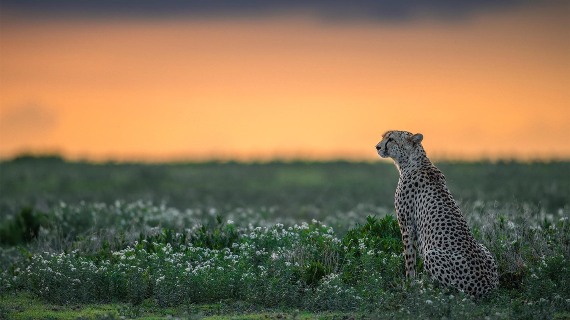 kaiyun体育app-《太阳管理层评估球队阵容，考虑引援补强》，太阳队现任总经理