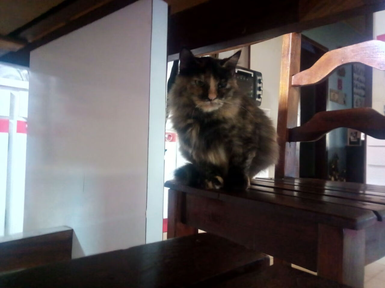 圣日耳曼客场表现迟滞，盼主场反弹，圣日耳曼吧