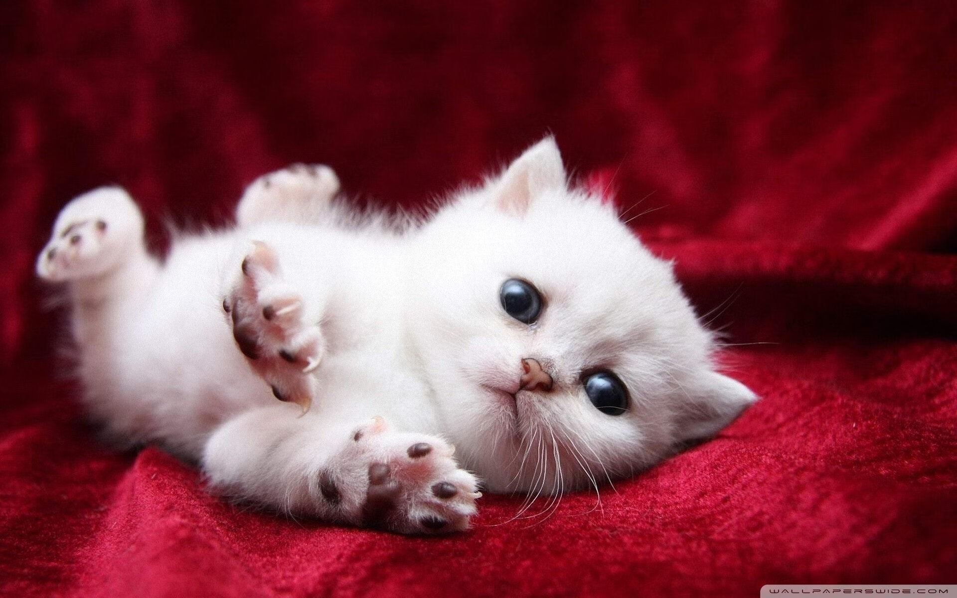 斯洛伐克难以阻挡对手攻势，败局已定，斯洛伐克怎么样