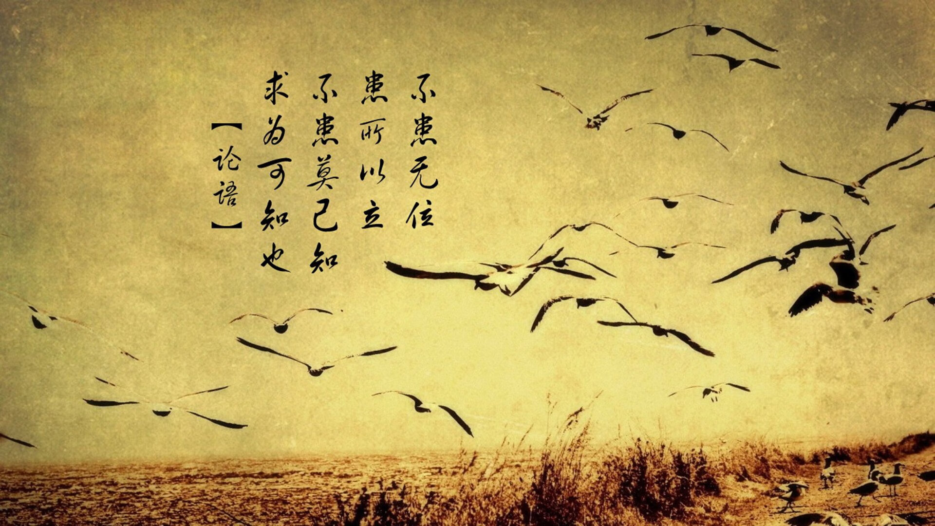 开云·Kaiyun网页版-横滨水手主帅调整战术，横滨水手2021阵容