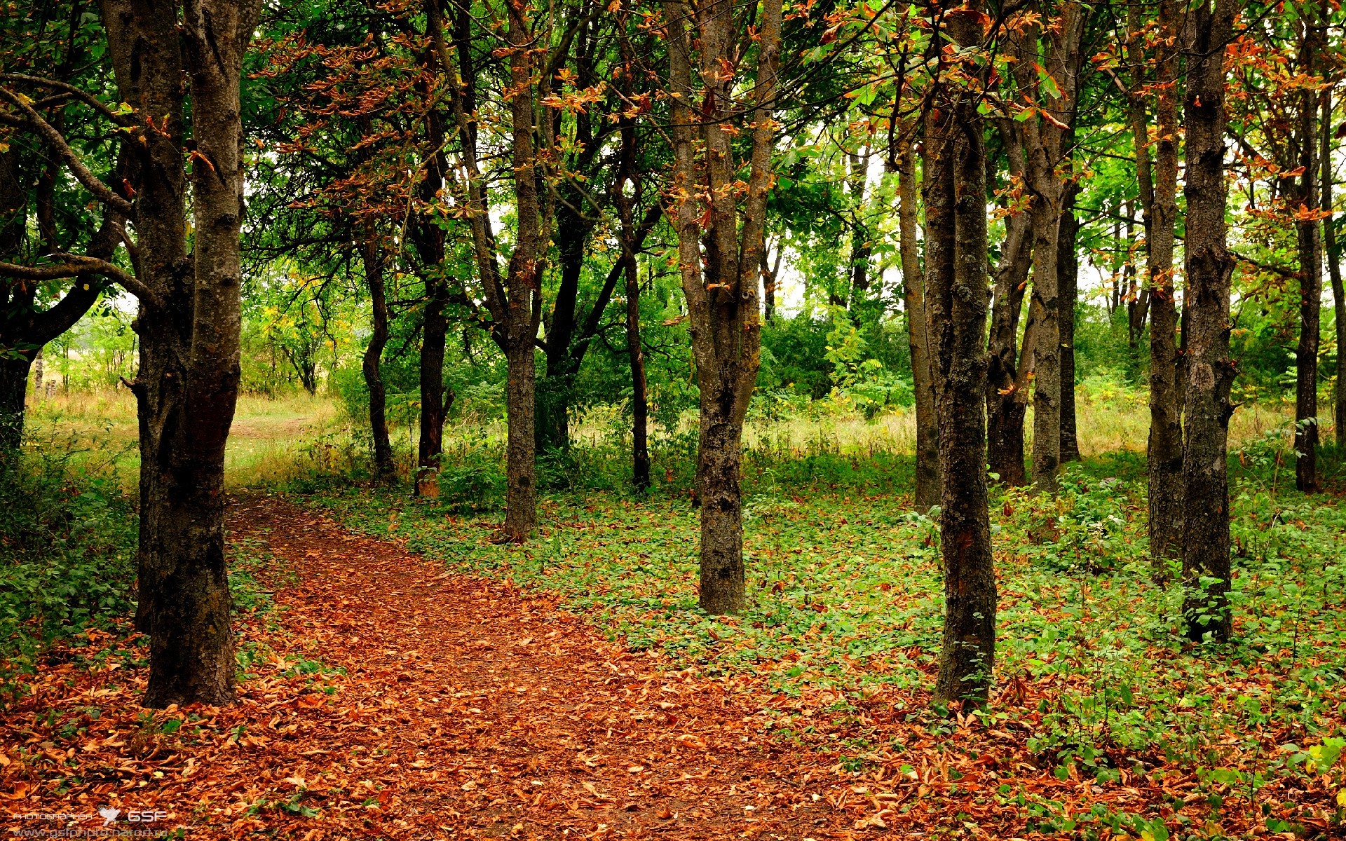 横滨水手主帅调整战术,横滨水手2021阵容