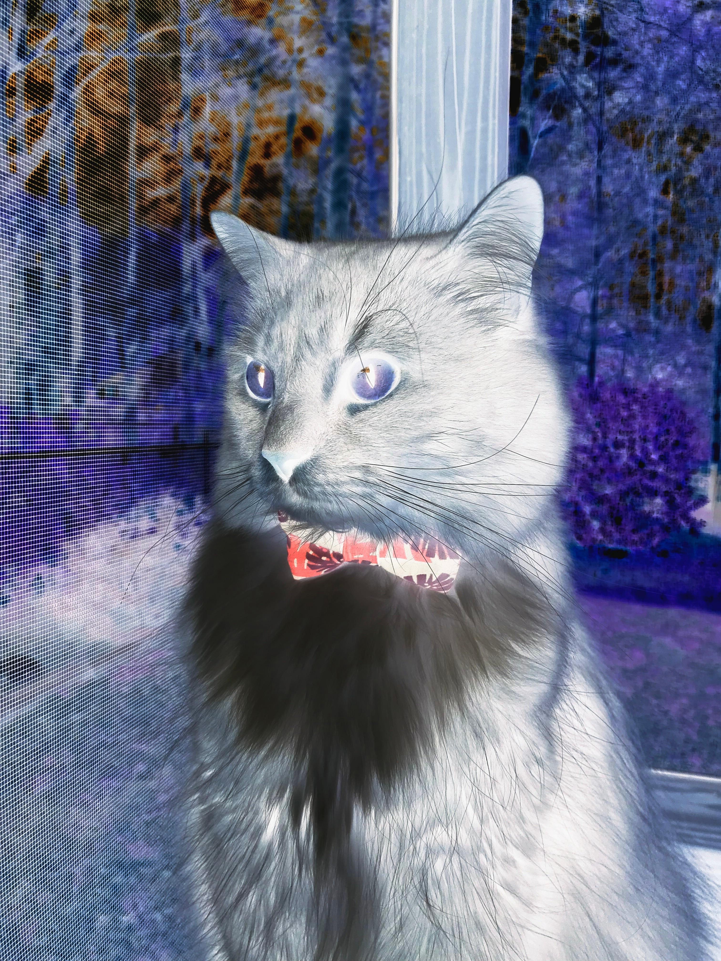 KAIYUNAPP-热刺客场负于利物浦，德比失利