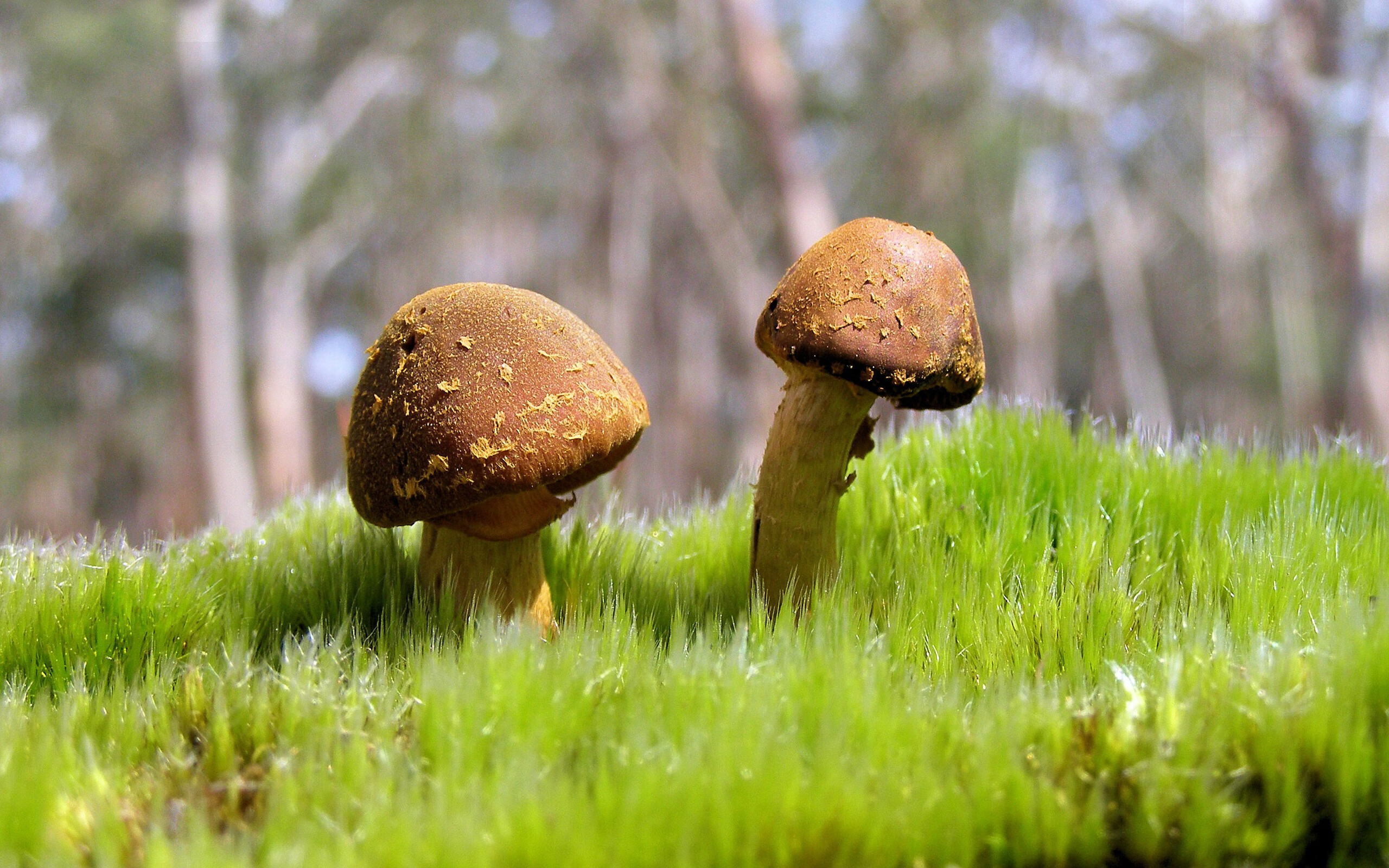 开云kaiyun-体育赛事多渠道传播，体育赛事多渠道传播的原因