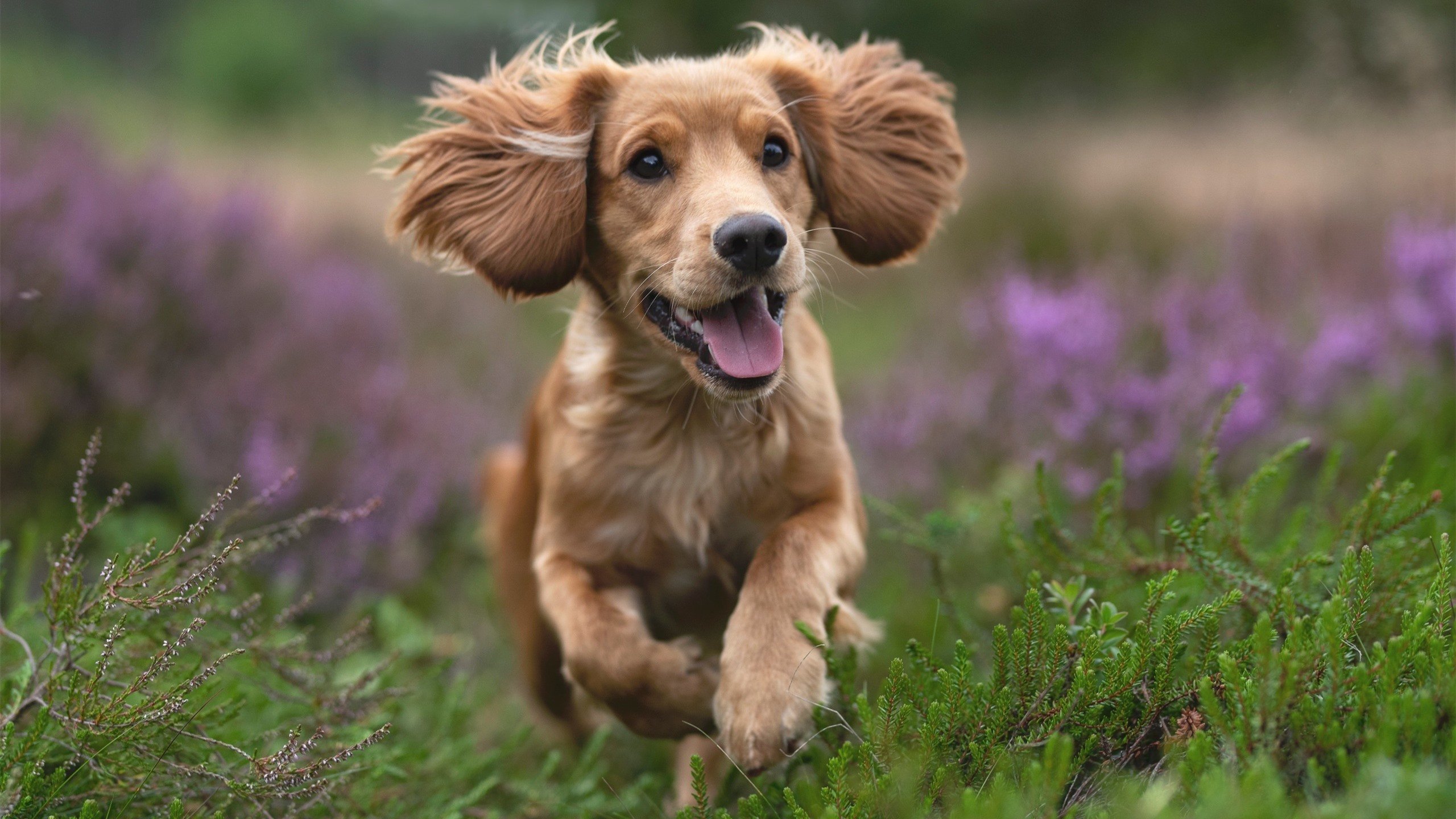 开云平台-体育社团活动纳入综合素质评价体系，体育社团活动纳入综合素质评价体系吗