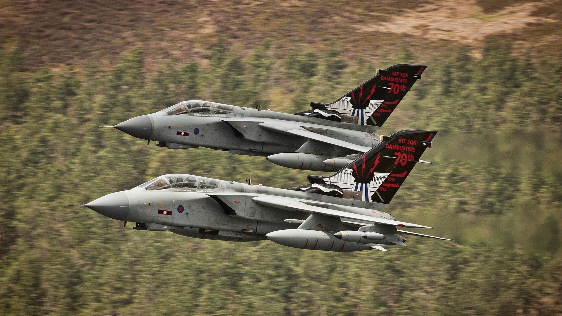 KAIYUNAPP-塞尔维亚女篮在欧洲锦标赛中精彩表现，争夺最高荣誉，塞尔维亚女蓝水平