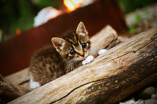 未来足球:智能硬件与科技结合,运动表现无极限,足球未来可期