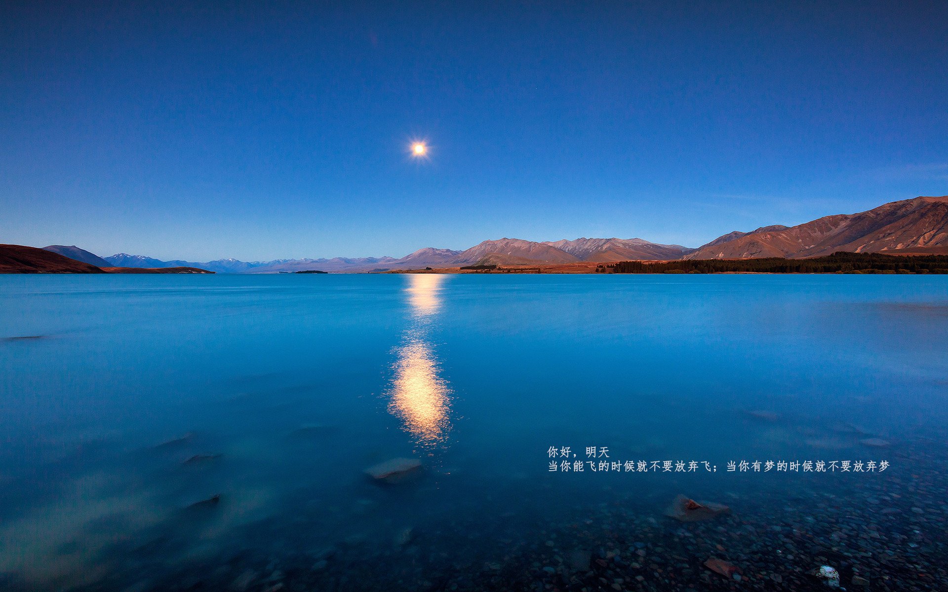 开云kaiyun-森林狼新赛季内部海报发布主题为奋斗到底，森林狼2021年阵容