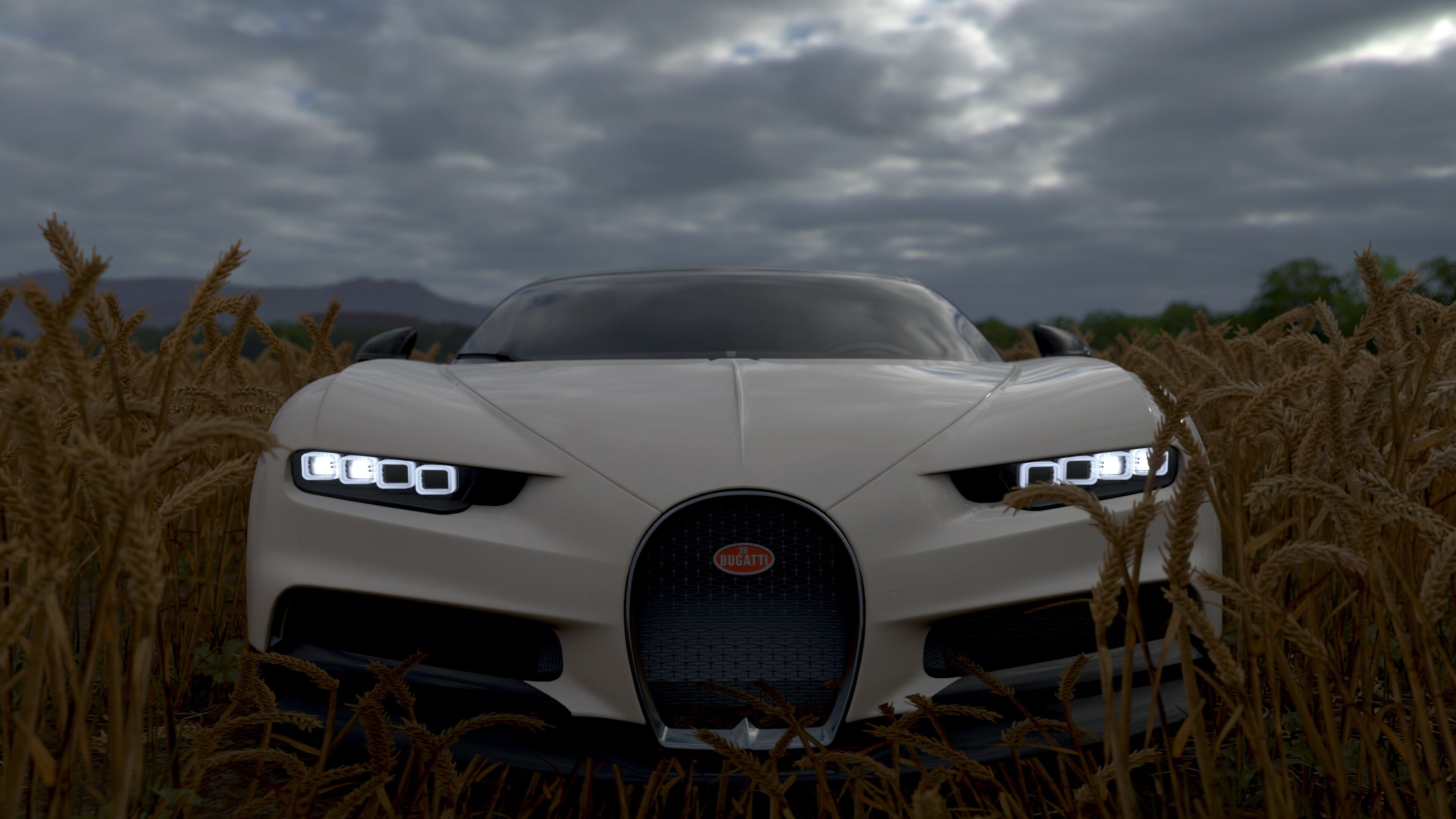 Kaiyun官方登录入口-游泳与跳水技术动作趋于国际标准，游泳与跳水技术动作趋于国际标准吗