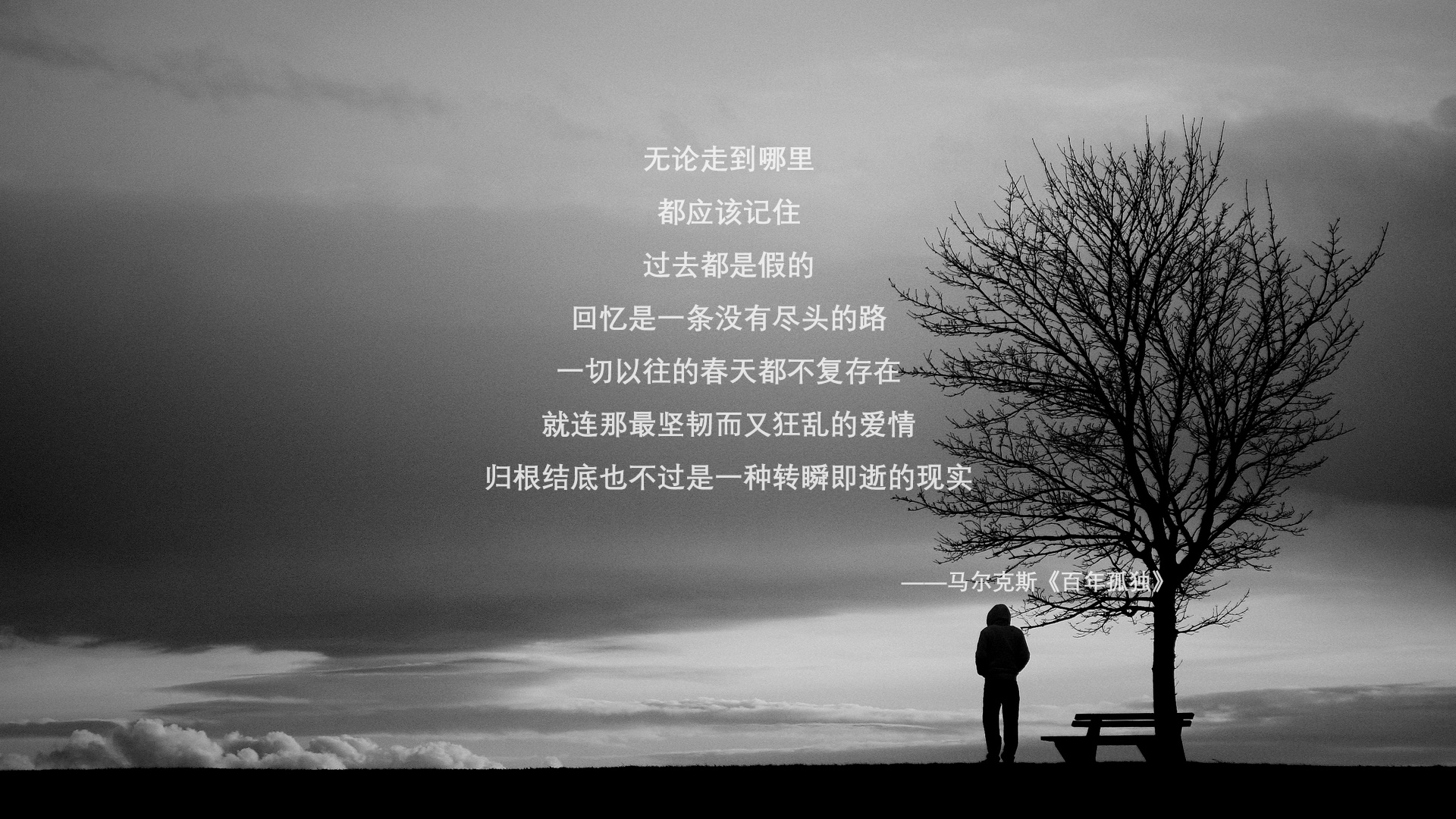 自由泳短距离吉尔吉斯斯坦选手冲进前列,自由泳吉尼斯世界纪录