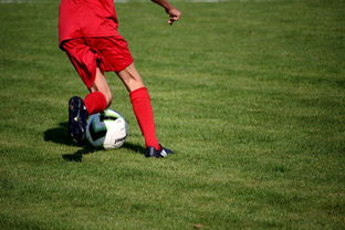 开云-篮球运动员心理韧性培养及心理干预体系，篮球运动员的心理训练